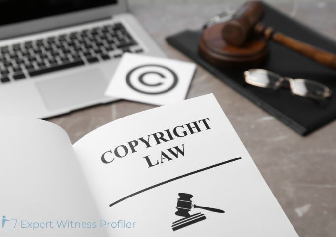 Film and television industry experts' testimony admitted in copyright infringement suit