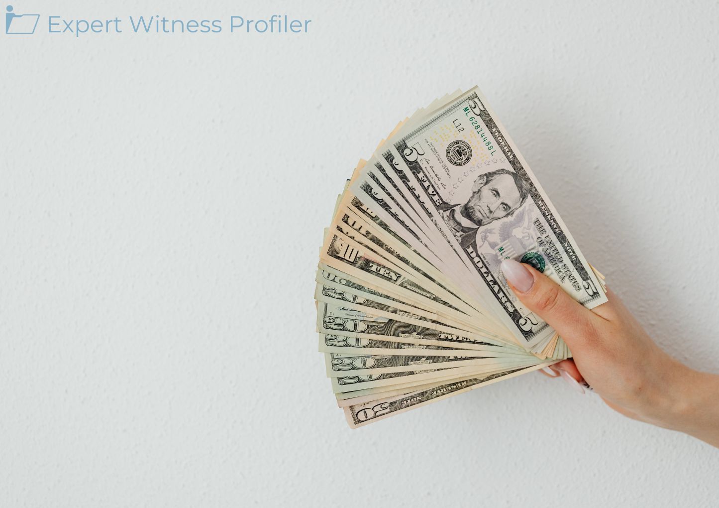 Elections Expert Witness Barred from Providing Opinions on the Interpretation of  Campaign Finance Laws