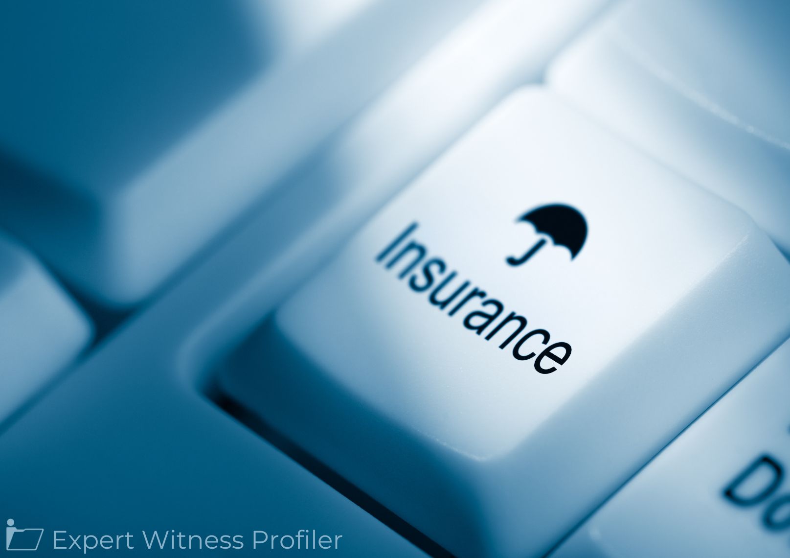 Insurance Law Expert Witness’ Opinions Excluded Despite his Vast Experience