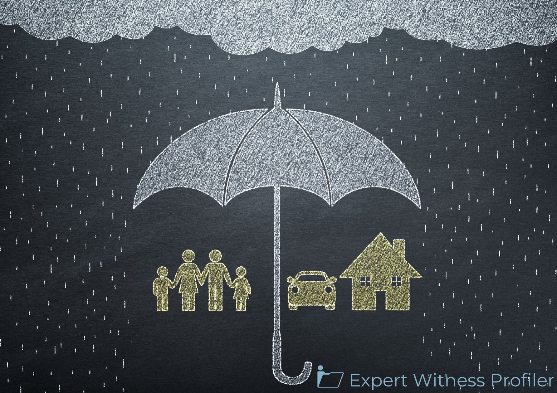 Insurance Expert Witness’ Testimony Limited Because it is Needlessly Cumulative