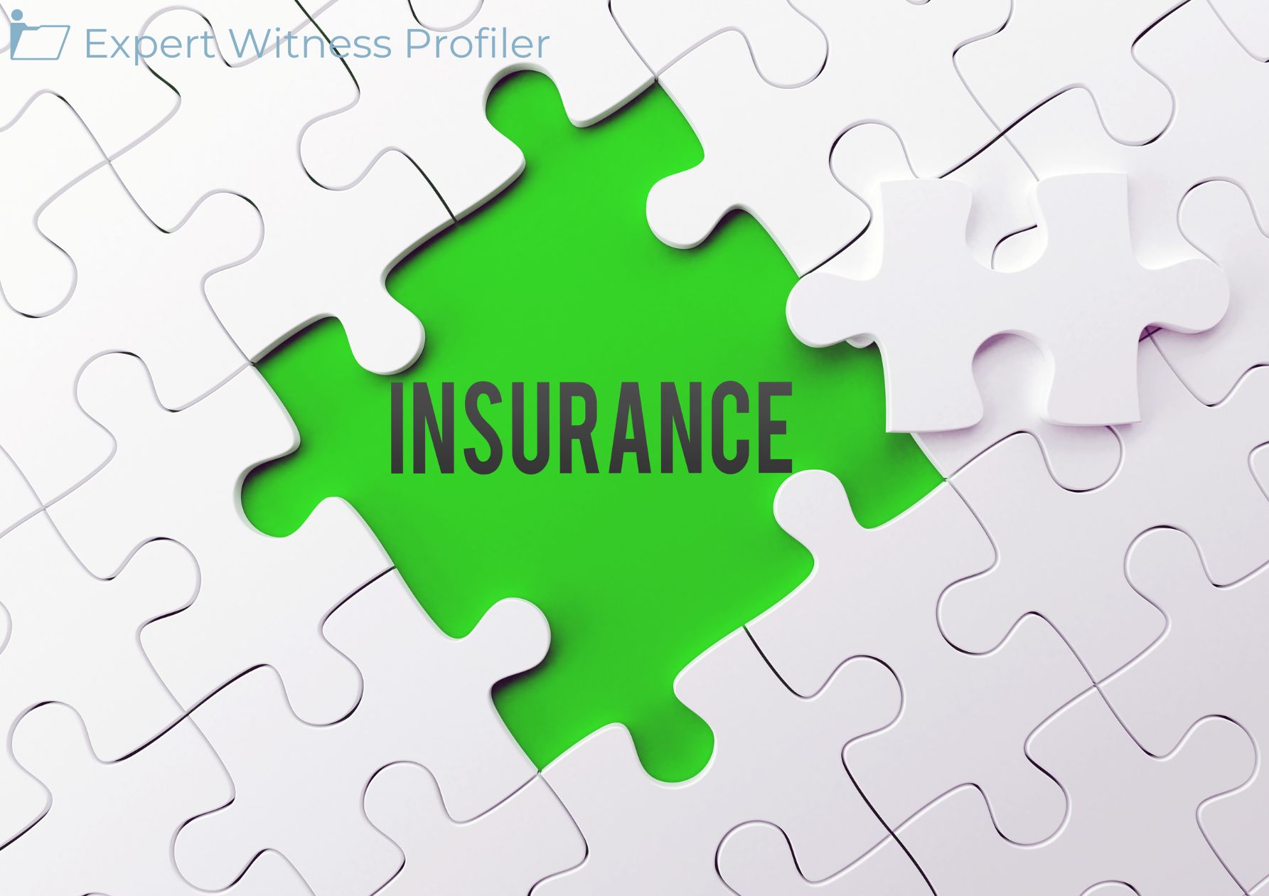 Insurance Expert Witness' Testimony With Regard to the Contract Interpretation Claims Excluded