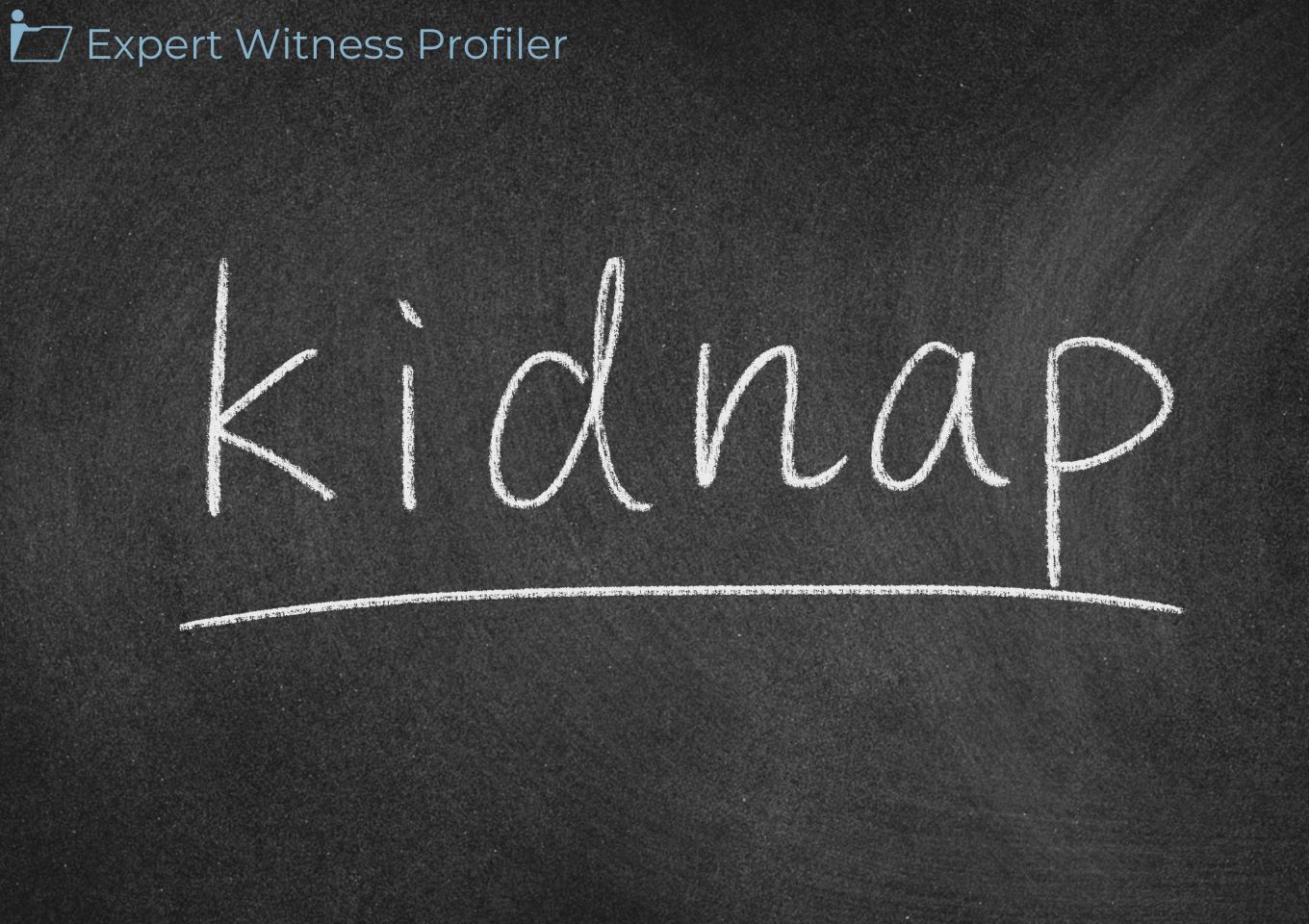 Software Development Expert Witness Allowed to Testify Despite Using a Records Key