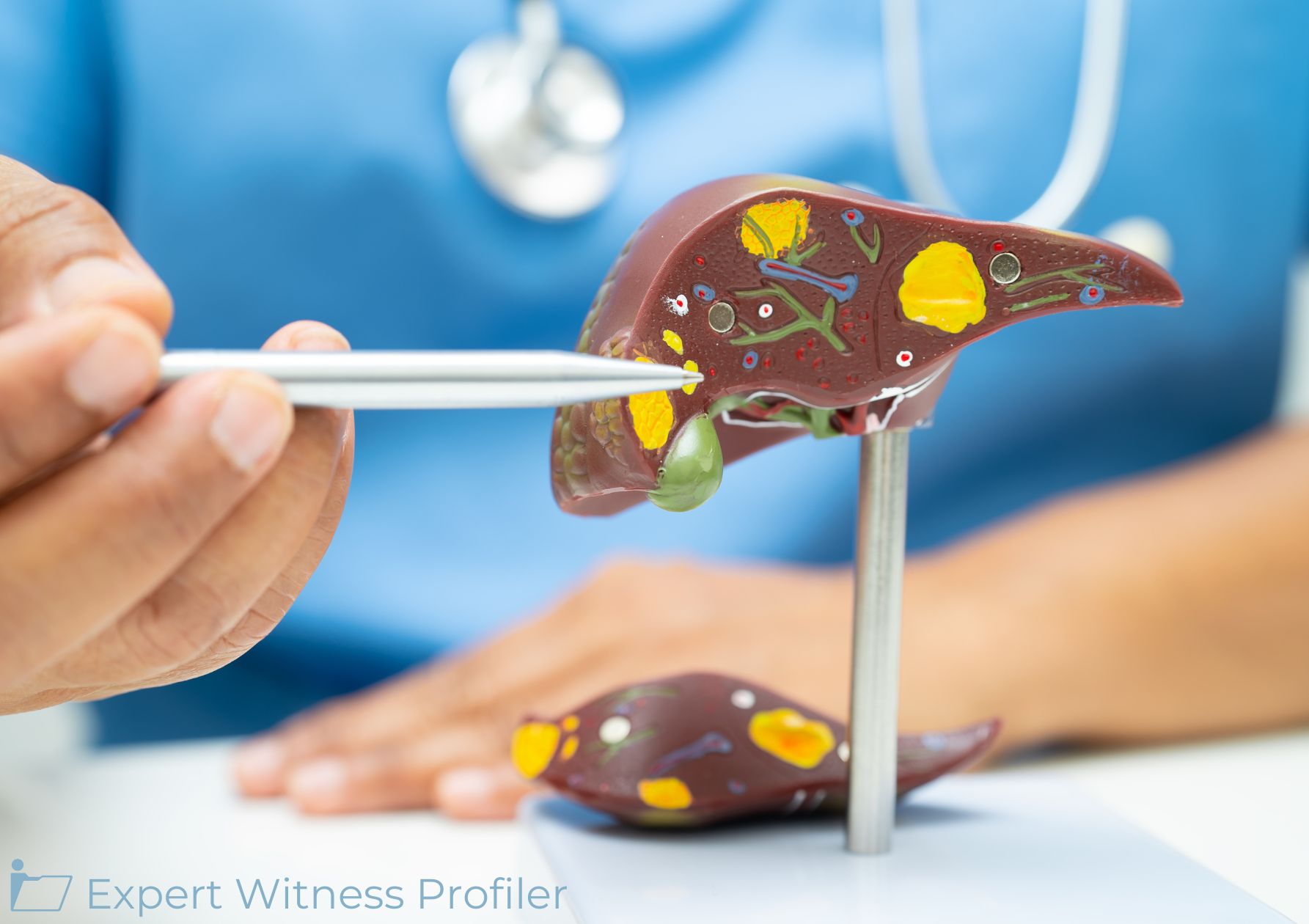 Hepatology Expert's Testimony About an Increased Risk of Liver Cancer Admitted