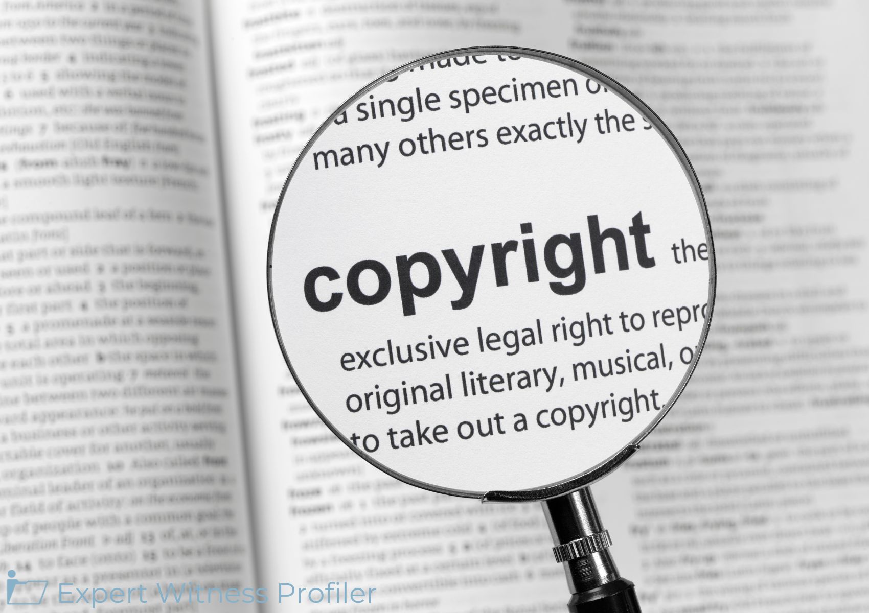 Intellectual Property Expert's Fair Use Opinion Admitted