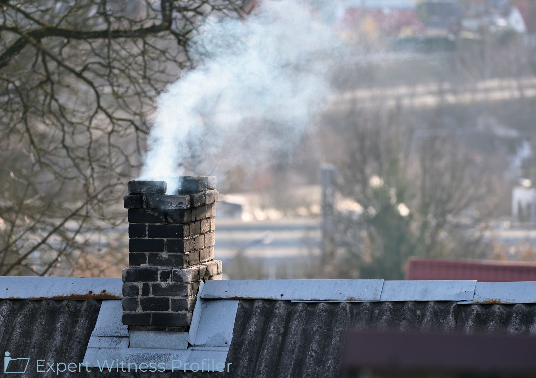 Structural Engineering Expert Was Allowed to Opine on the Chimney Collapse